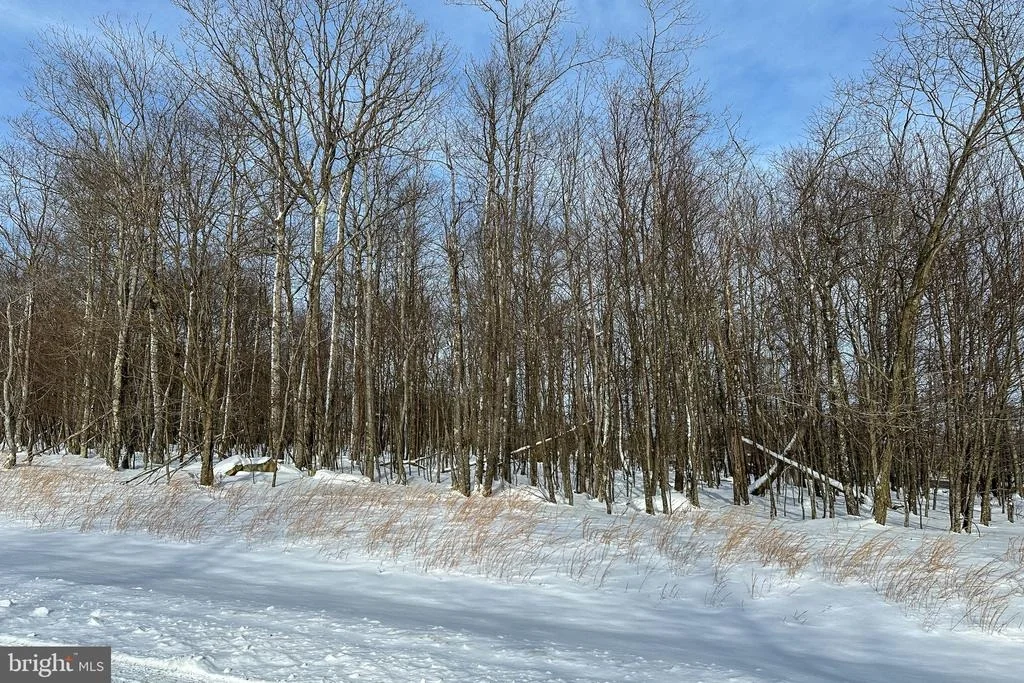 Photo of Lot 100 SNOWHAVEN LANE