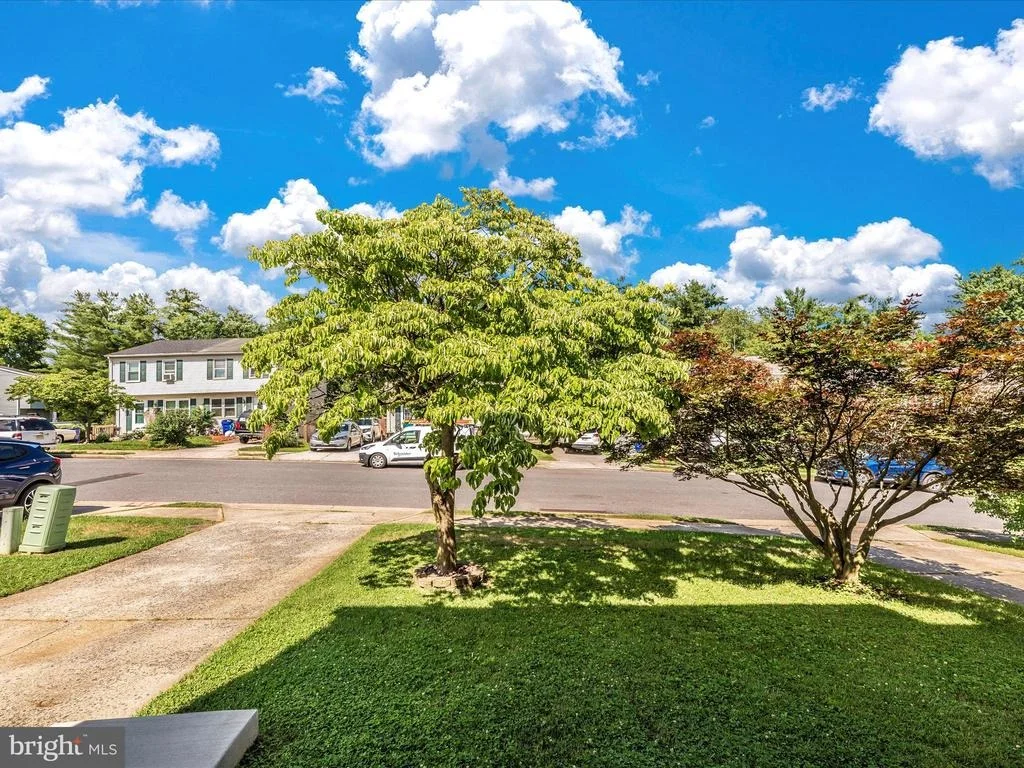 Photo of 6 WENNER DRIVE