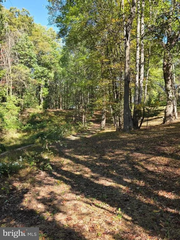 Photo of 3816 JIM SMITH LANE