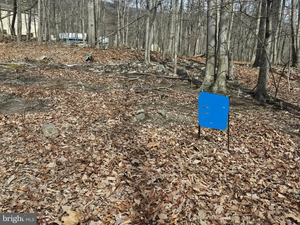 Photo of 825 PANTHER DRIVE