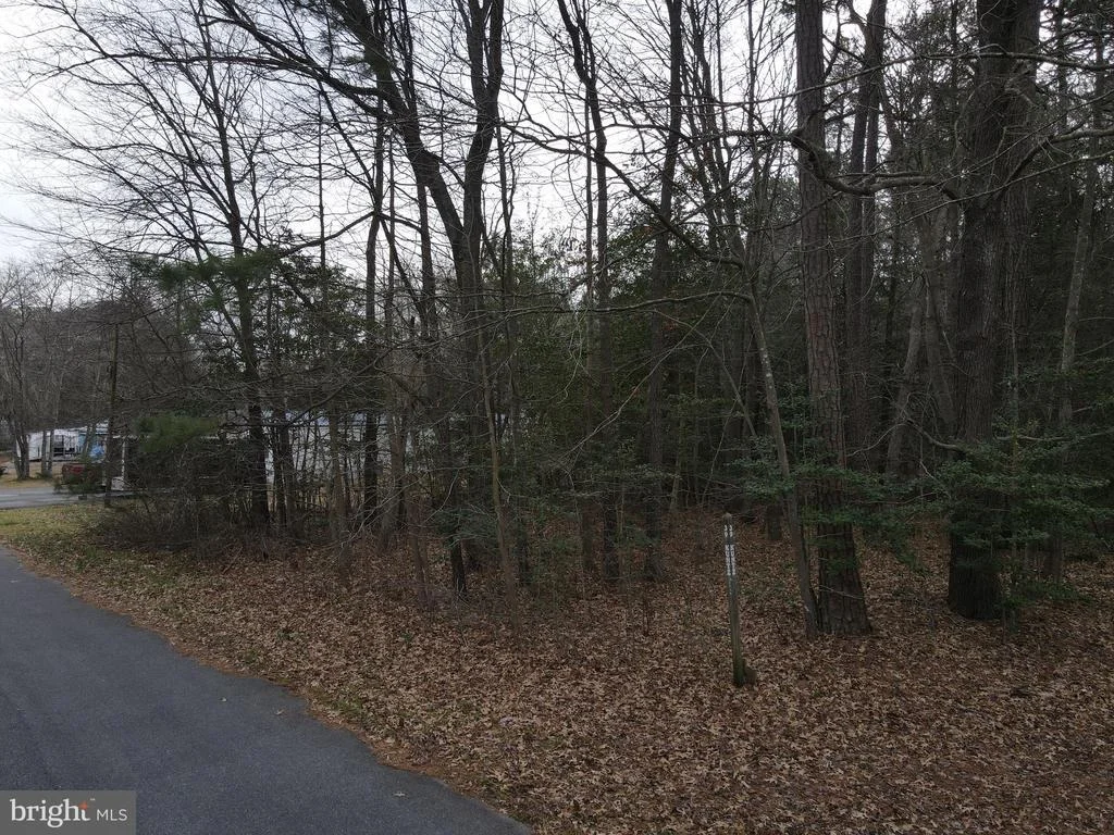 Photo of LOT 40 VACATION ROAD