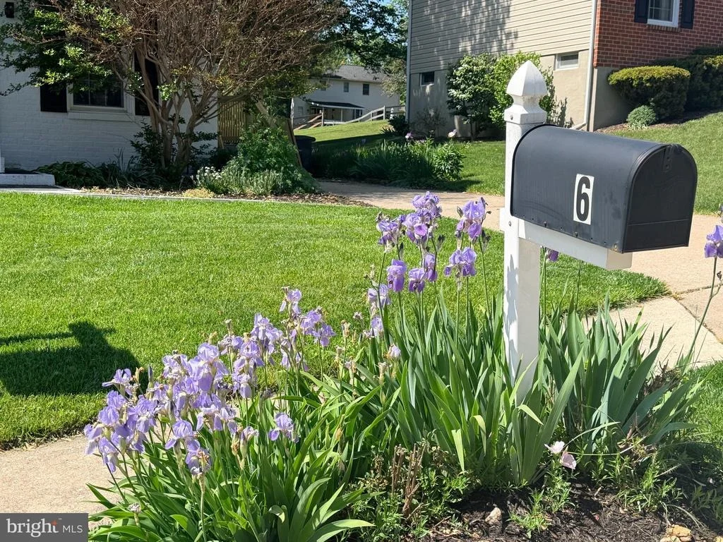 Photo of 6 THURKILL COURT
