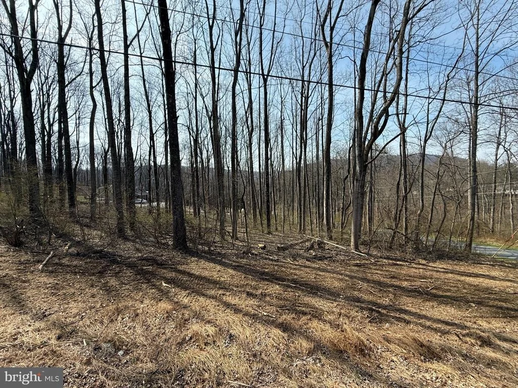Photo of 2 BONNIE TRAIL