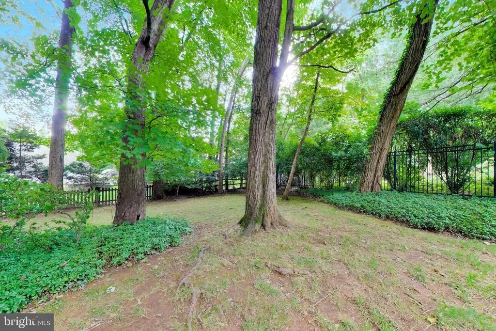 Photo of 9617 FALLS BRIDGE LANE
