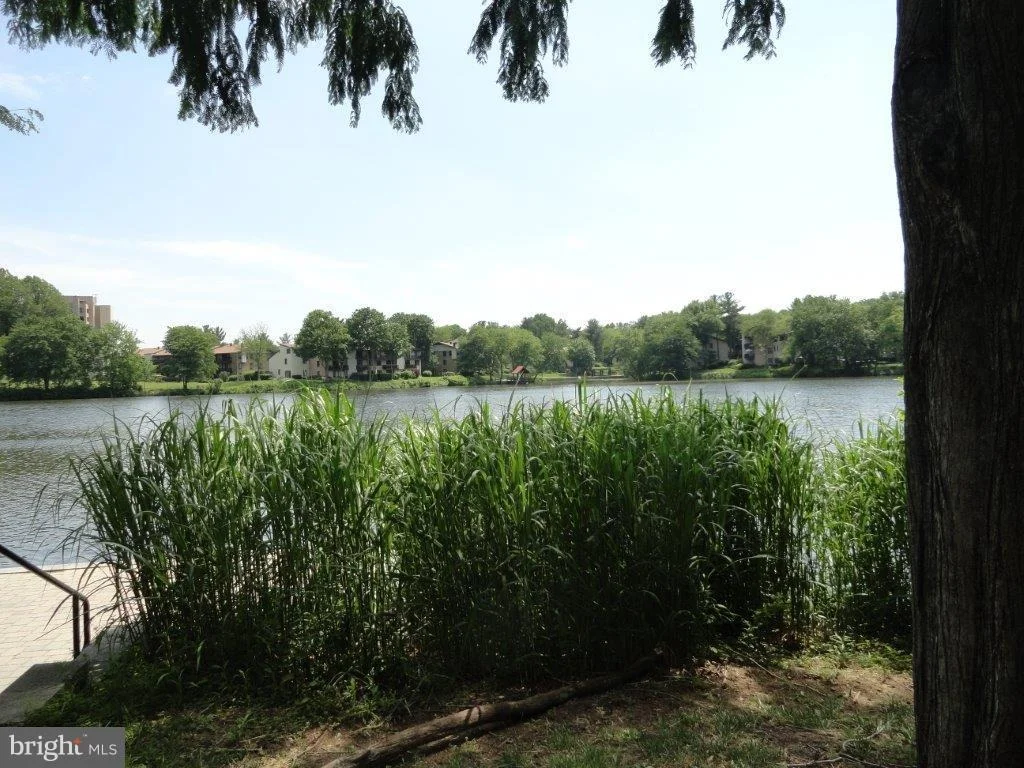 Photo of Unit 4 at 10067 WINDSTREAM DRIVE