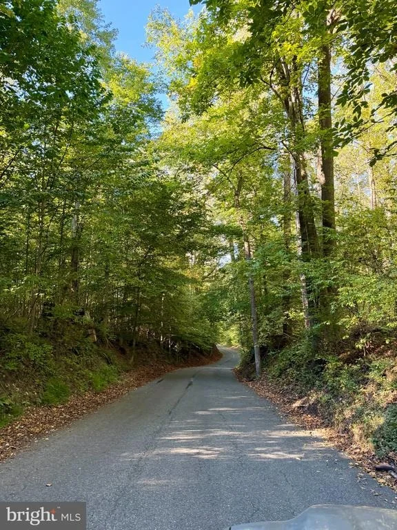 Photo of 15211 CANDY HILL ROAD