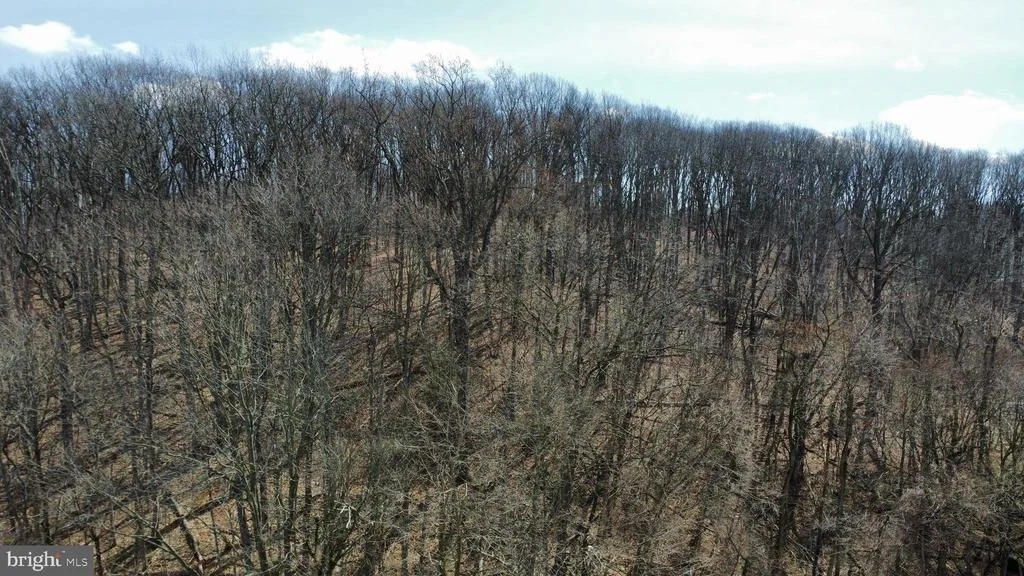 Photo of 2849 MANCHESTER ROAD