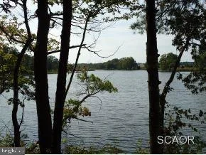 Photo of 40 WOODS RUN CIRCLE