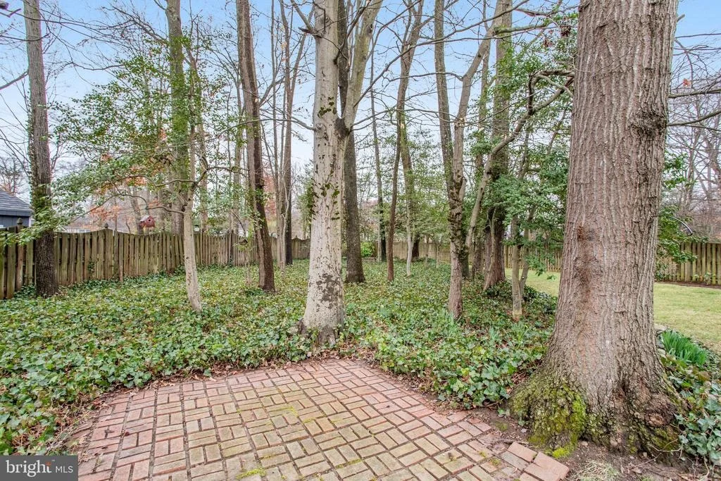 Photo of 1903 COOL SPRING DRIVE