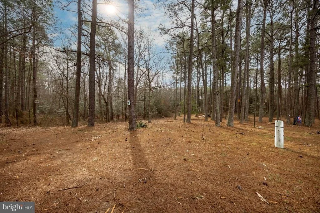 Photo of 22139 ROYAL OAK ROAD