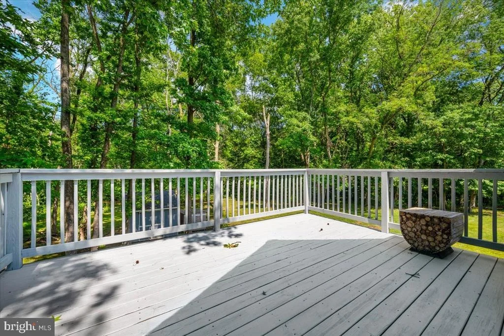 Photo of 10705 MILLBROOK DRIVE