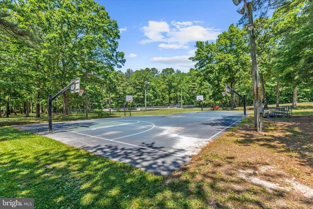 Photo of 11 BURR HILL DRIVE