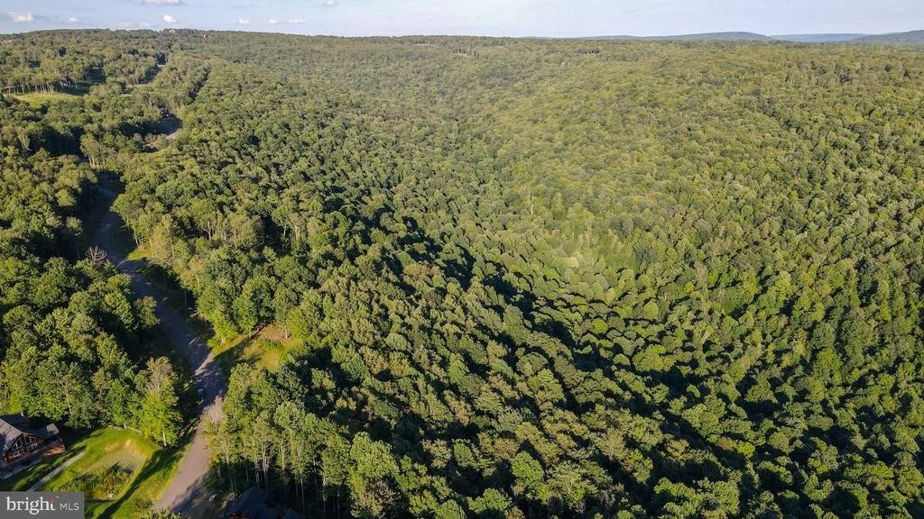 Photo of Lot 168 FORK RUN TRAIL