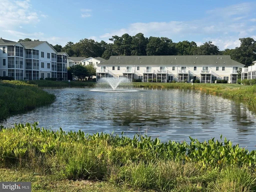 Photo of Unit 4203 at 20007 SANDY BOTTOM CIRCLE