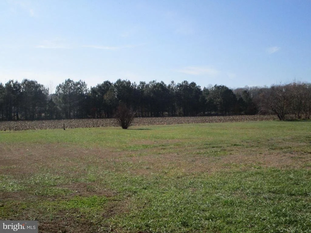 Photo of 1672 VERNON ROAD