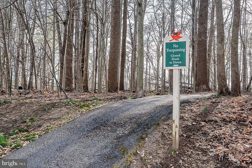 Photo of 8005 BIG POOL ROAD