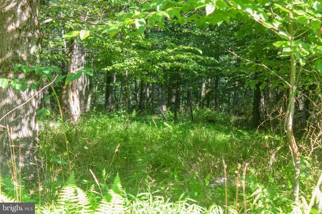 Photo of LOT 33 WINDING ESTATES DR