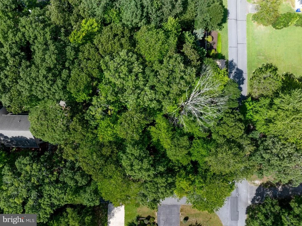 Photo of Lot 2 E RIGA DRIVE