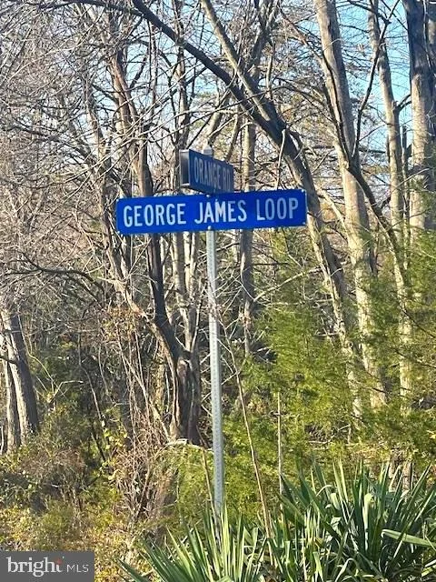 Photo of 0 GEORGE JAMES LOOP
