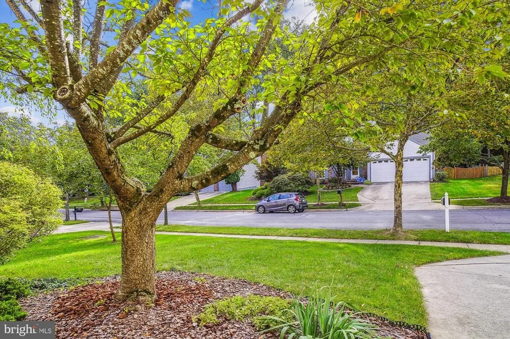 Photo of 2427 HENSLOWE DRIVE