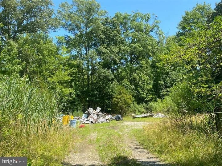 Photo of 5277 CEDAR STREET