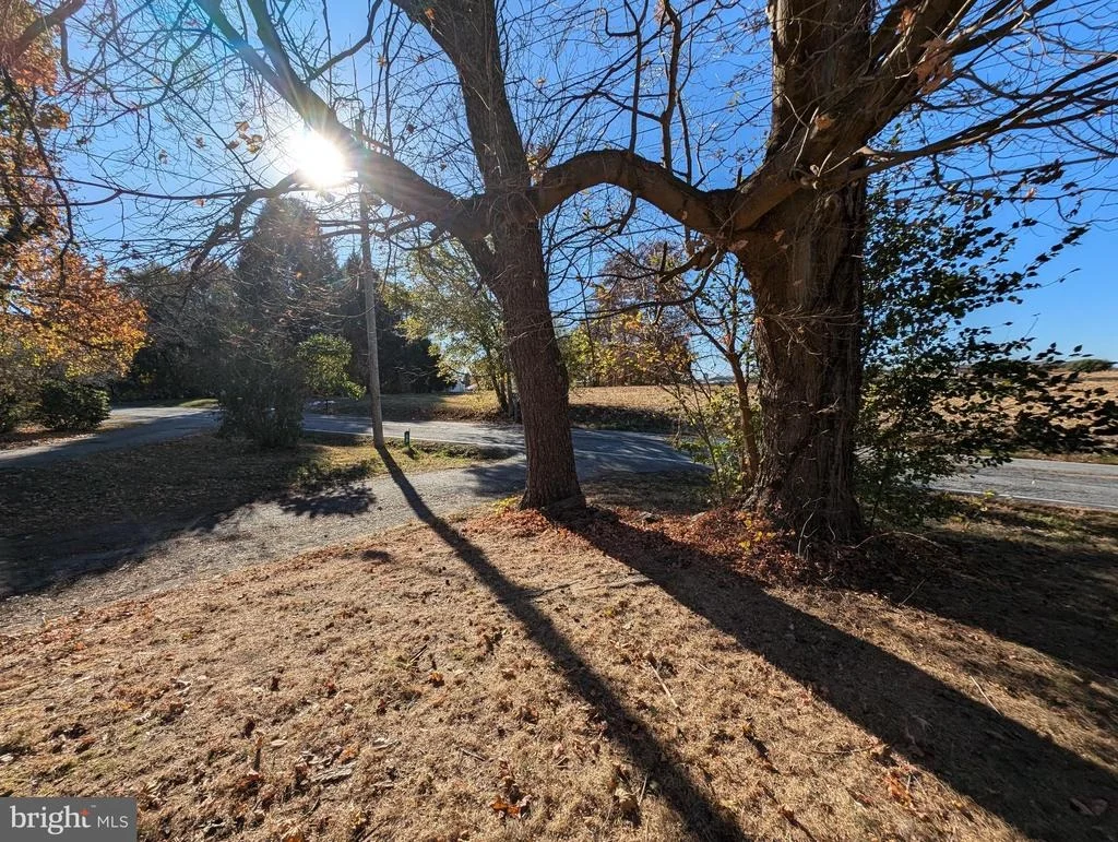Photo of 74 CALVERT ROAD