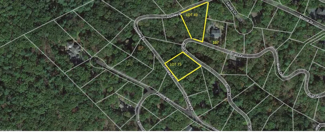 Photo of Lot 75 DOOLEY