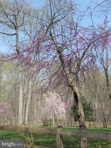 Photo of 450 RIVER BEND ROAD