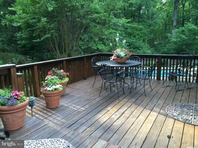 Photo of 11736 FLINTS GROVE LANE