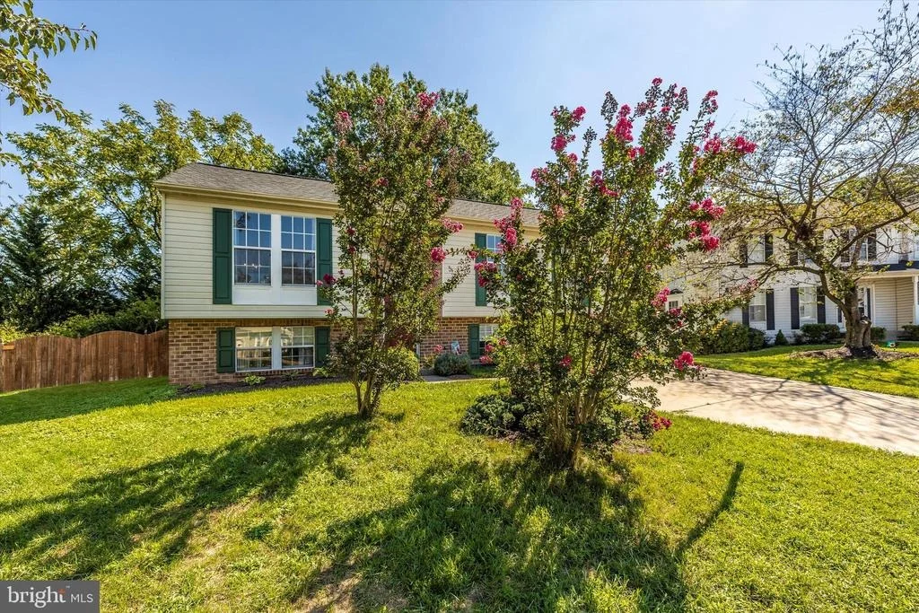 Photo of 1001 CHINABERRY DRIVE
