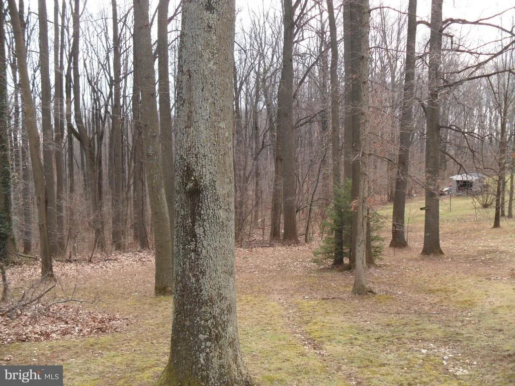 Photo of 23611 MOUNT EPHRAIM ROAD
