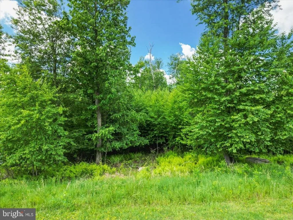 Photo of 31 FOX RUN DRIVE