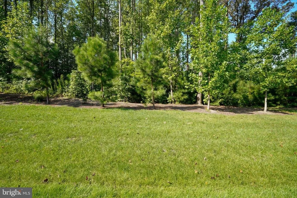 Photo of 19405 SAFFLOWER WAY