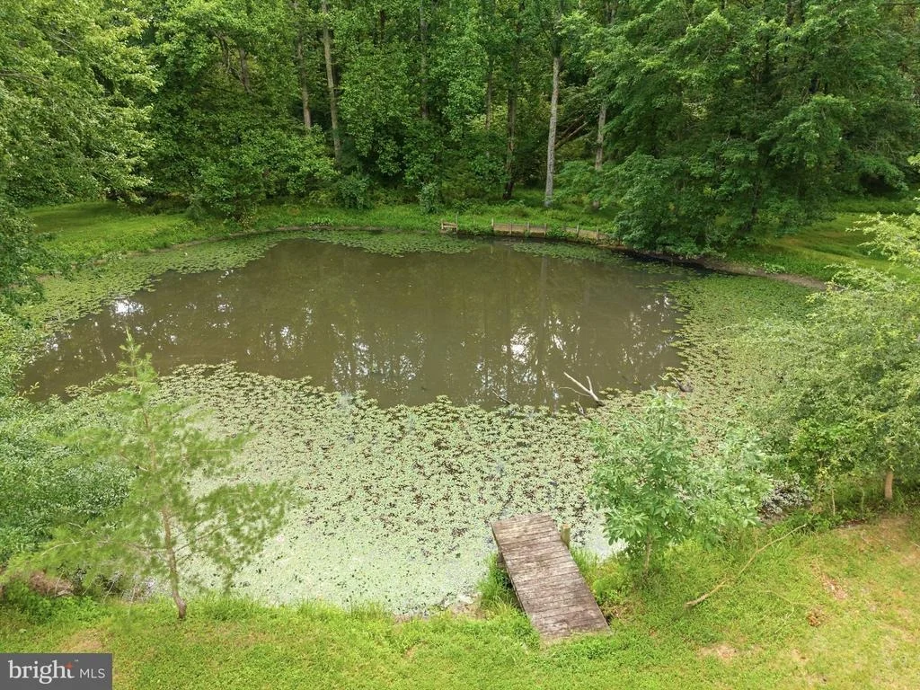 Photo of 11201 STUART MILL ROAD