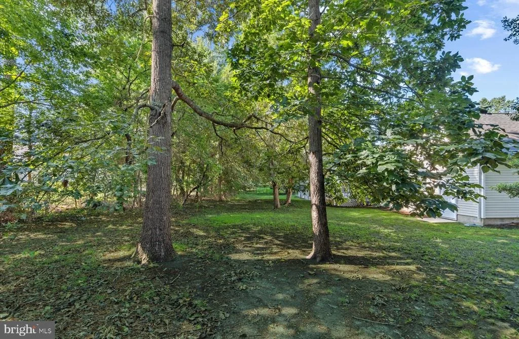 Photo of 33873 N HERON DRIVE