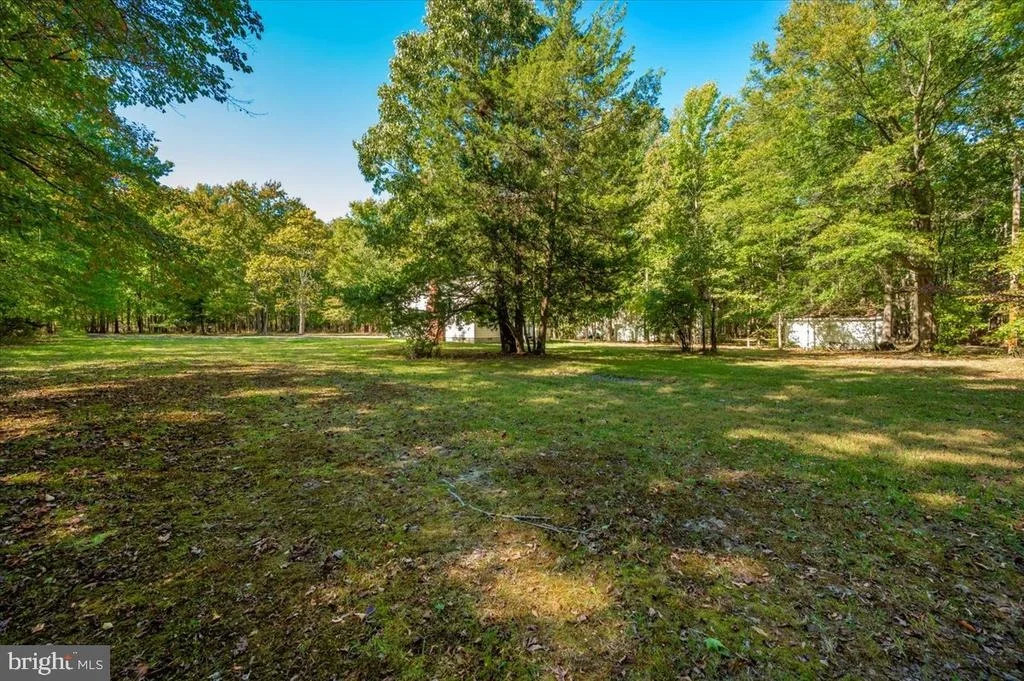 Photo of 1552 DENNIS ROAD