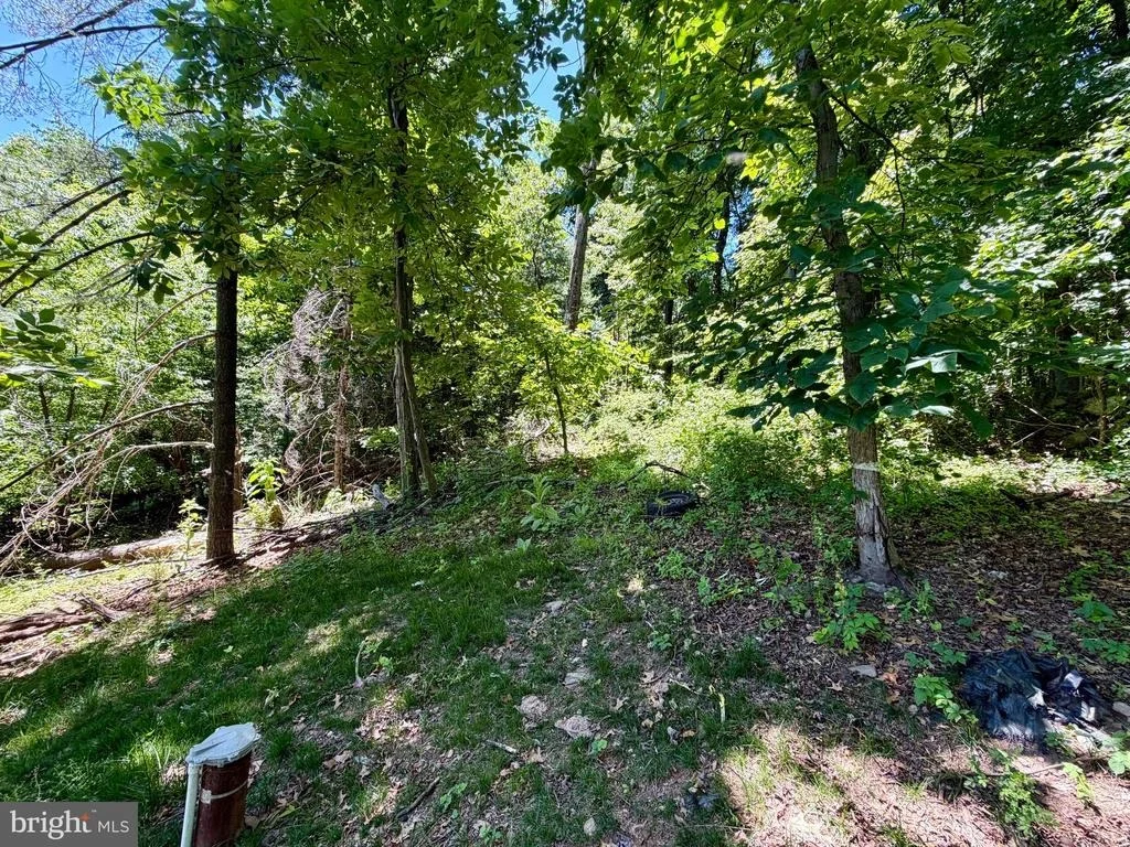 Photo of 10121 PUTMAN ROAD