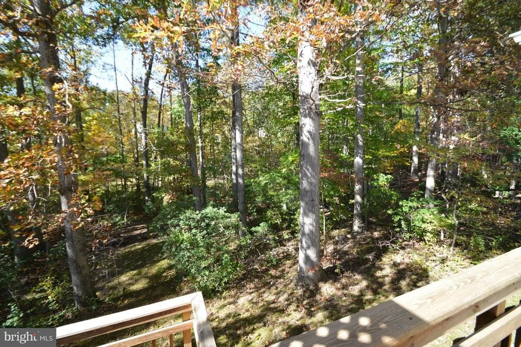 Photo of 8014 DIVING CLIFF LANE
