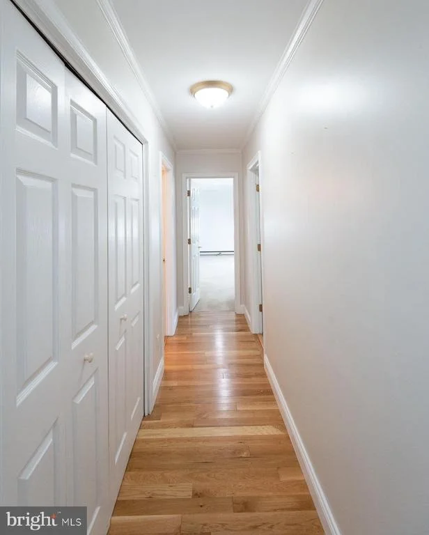 Photo of 19 HOLLY TERRACE
