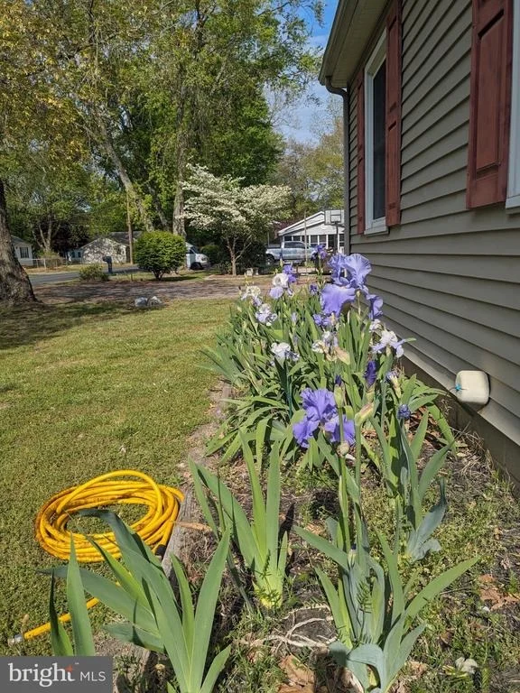 Photo of 103 HONEYSUCKLE DRIVE
