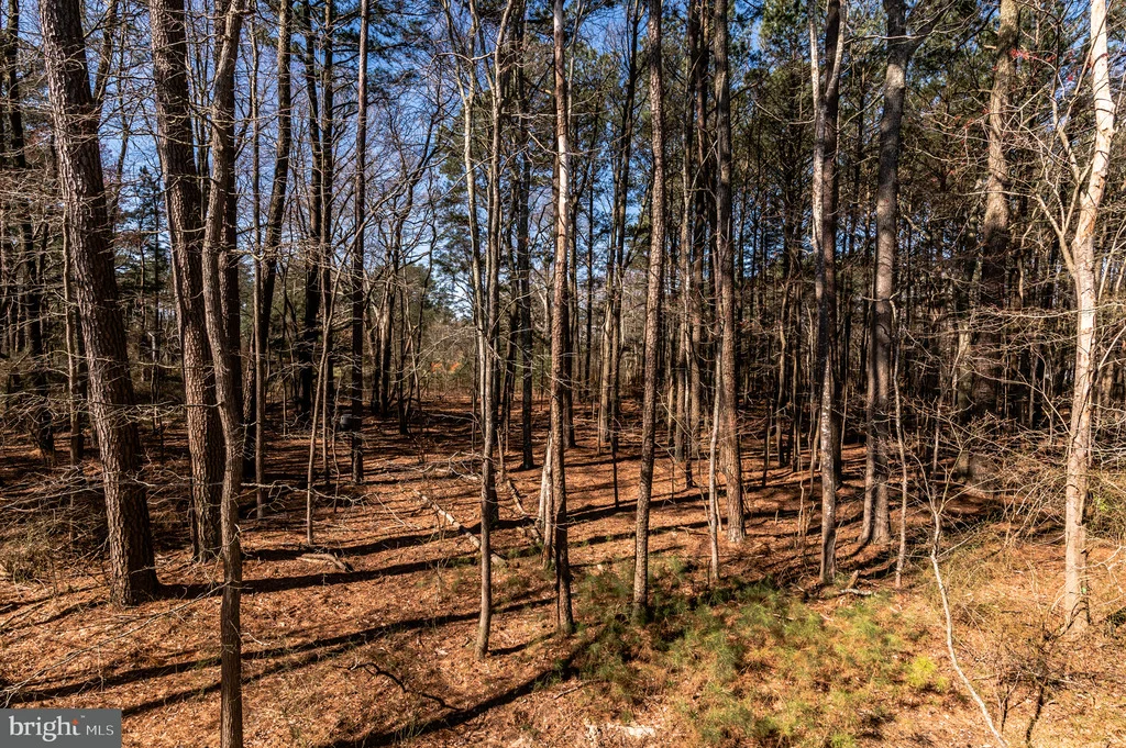 Photo of 404 SALT POND ROAD