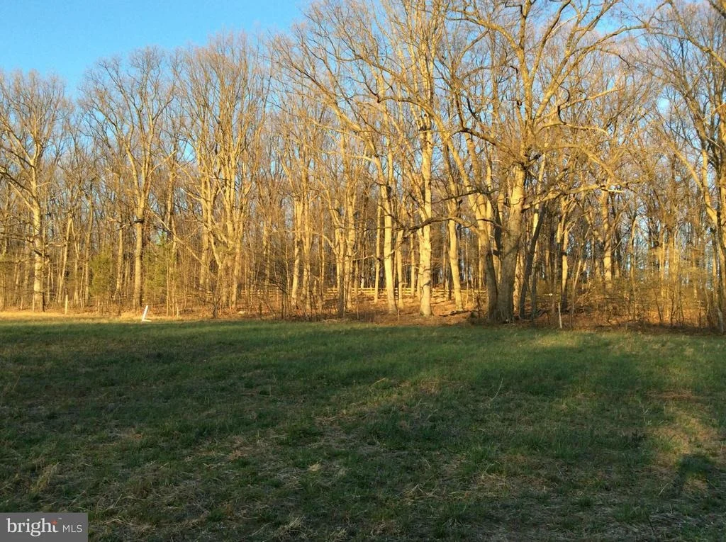 Photo of 11322 DAYSVILLE ROAD