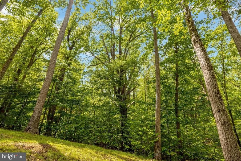 Photo of 105 INTERPROMONTORY ROAD