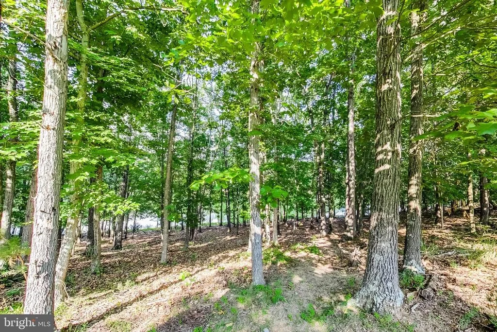 Photo of 311 GREBE DRIVE