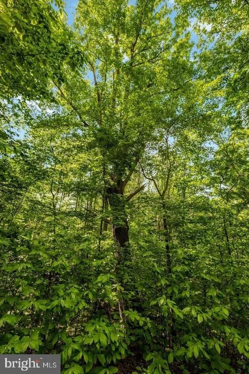 Photo of 105 INTERPROMONTORY ROAD