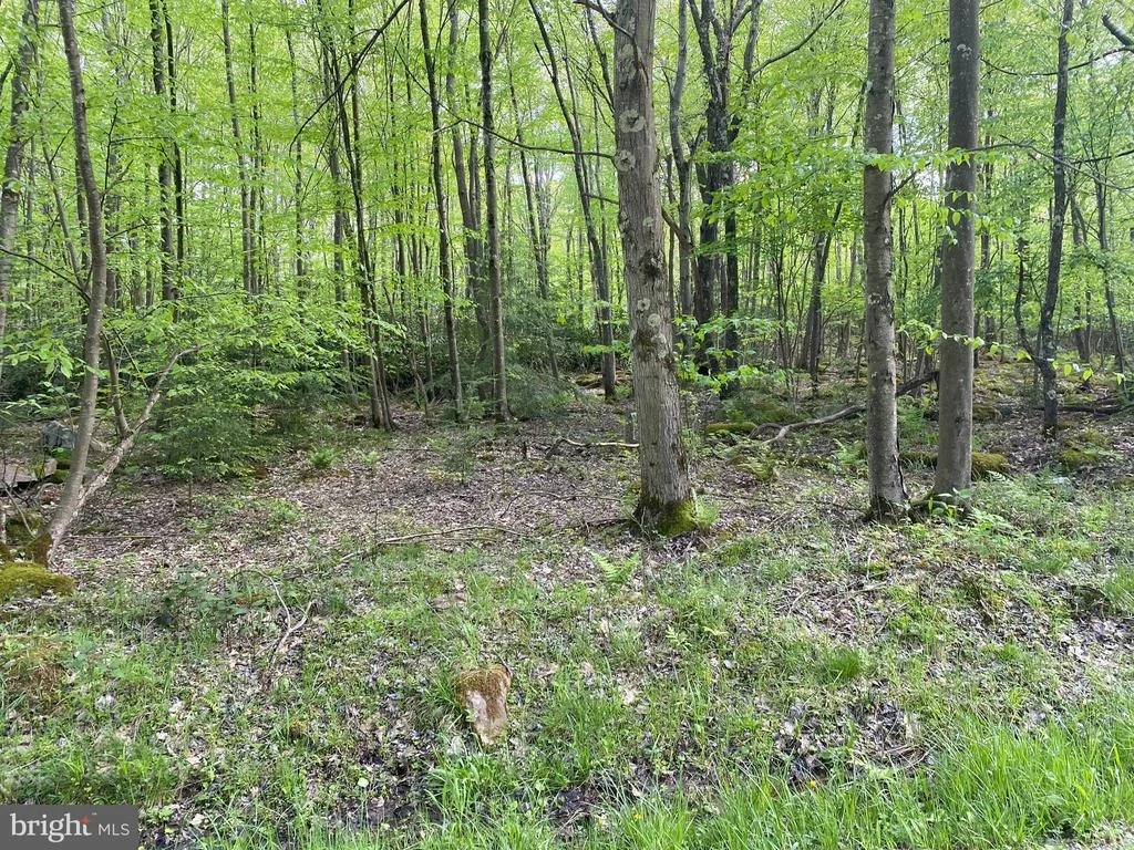 Photo of Lot 3 DEER RUN ROAD