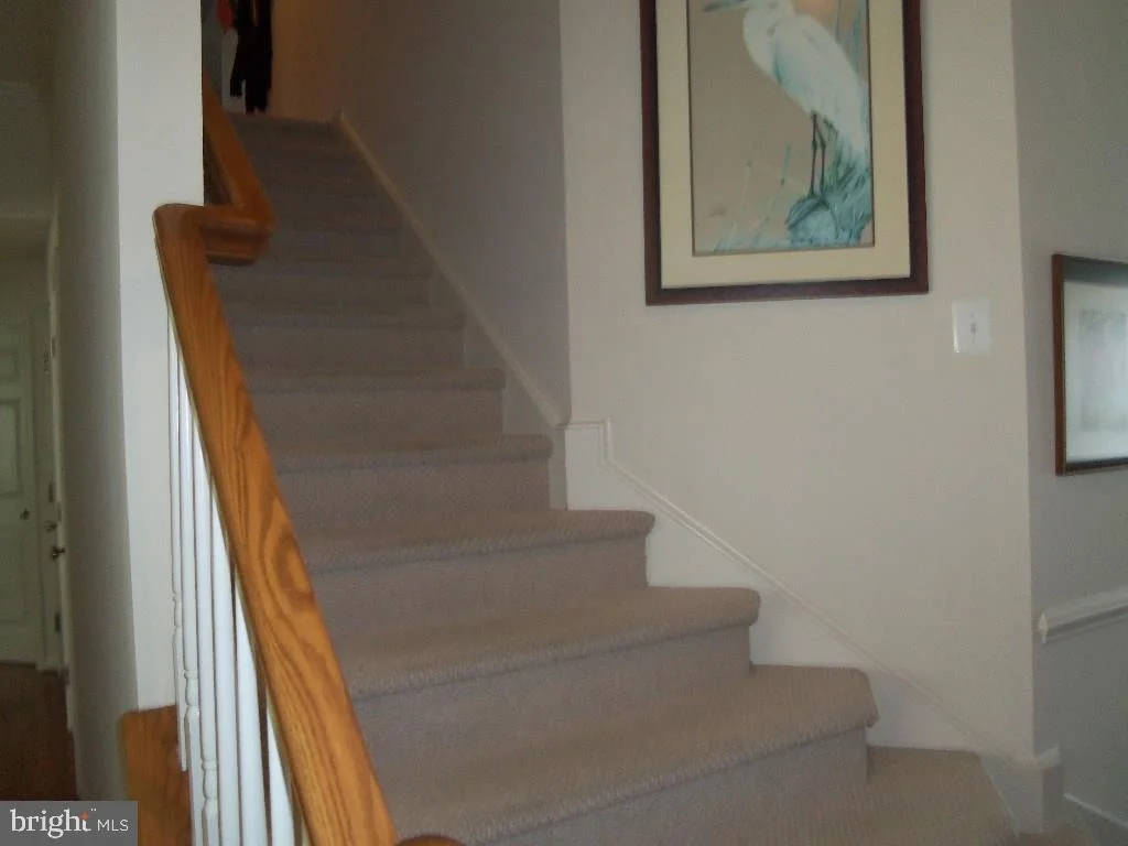 Photo of 36130 VIREO CIRCLE
