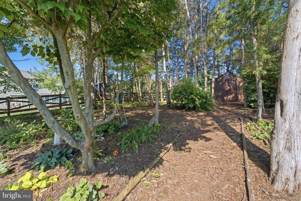 Photo of 9242 RAINBOW FALLS DRIVE