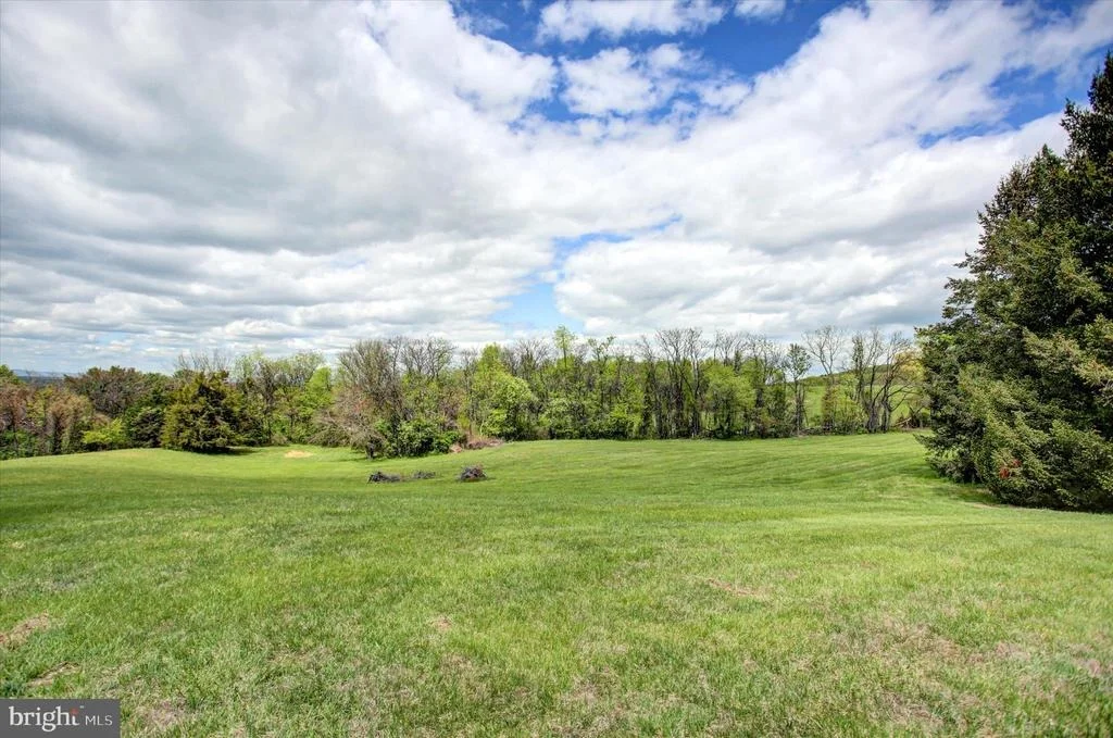 Photo of 8001 MAPLEVILLE ROAD