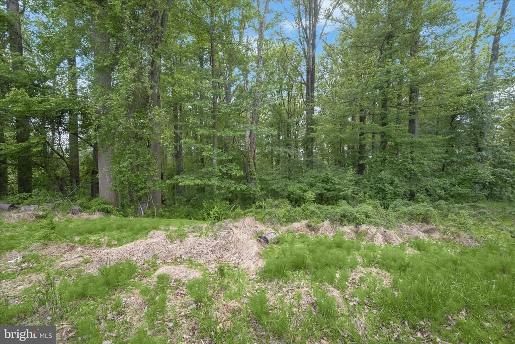 Photo of 2994 FALLS RUN ROAD